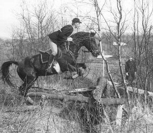 André Geeroms - Iwein - Eventing