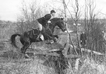 André Geeroms - Iwein - Eventing