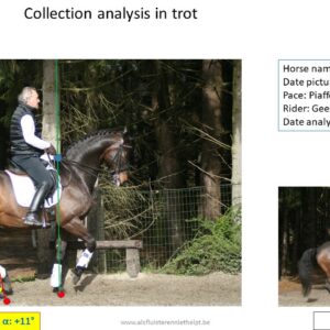 Analyse form for collection