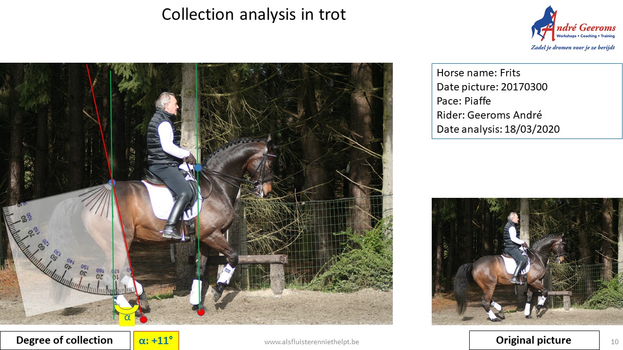 Analyse form for collection