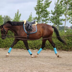 Longeren dient niet om het paard af te matten