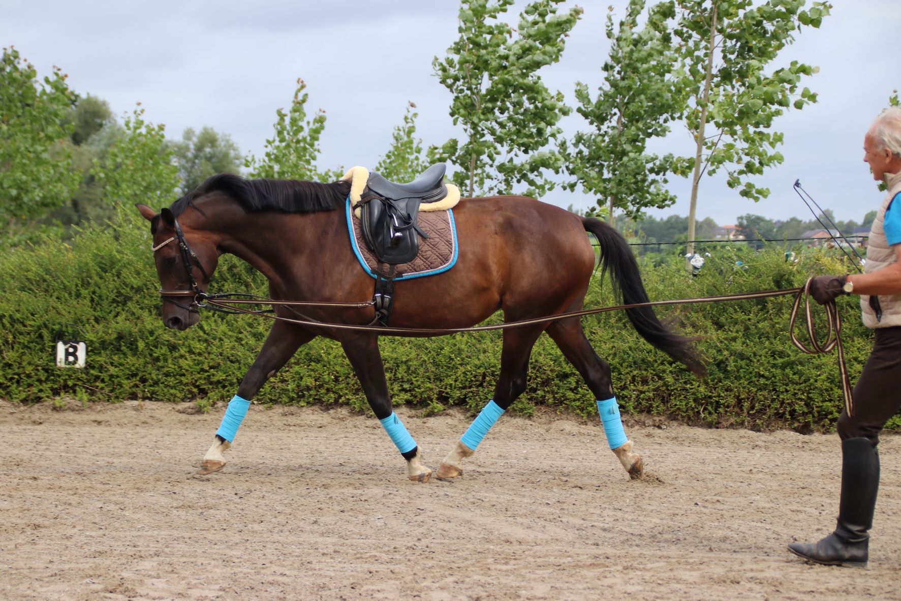 Longeren dient niet om het paard af te matten