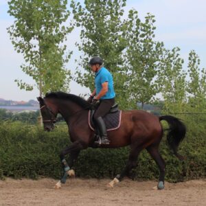 Galop vallen, galop aanspringen