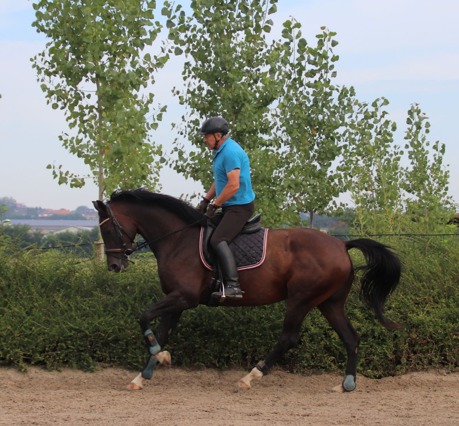 Galop vallen, galop aanspringen