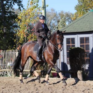 Gebruik zijgangen voor het rechtrichten van je paard