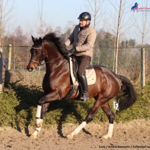 Verspringt mijn paard toch wel van galop!