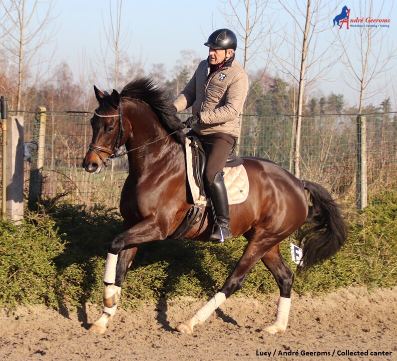 Verspringt mijn paard toch wel van galop!