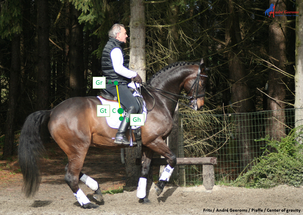 Gemeenschappelijke zwaartepunt van ruiter en paard