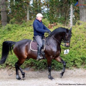 Antropomorfisme, een paard als mens behandelen!