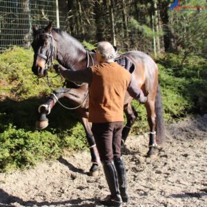 Spectaculair voorbeen in de Spaanse stap