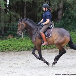 Wegstormend paard