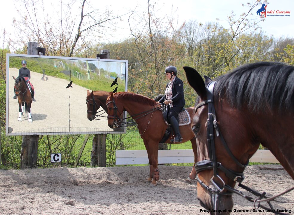 Schrikken van andere paarden.