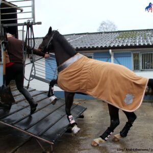 Je paard spanningsloos laden.