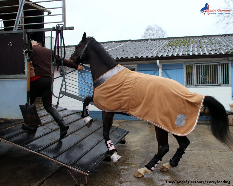 Je paard spanningsloos laden.