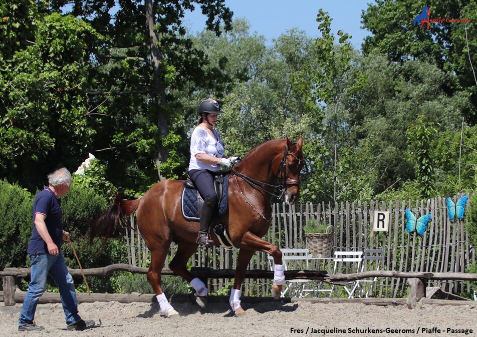 Hoe leer ik mijn paard passageren?