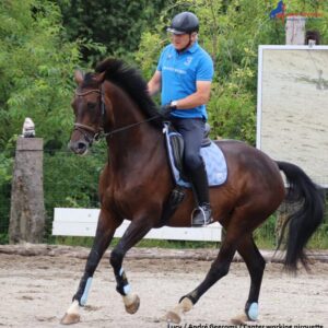 Geen punten voor mijn galop pirouette! Het zoeken van diverse werkpunten.