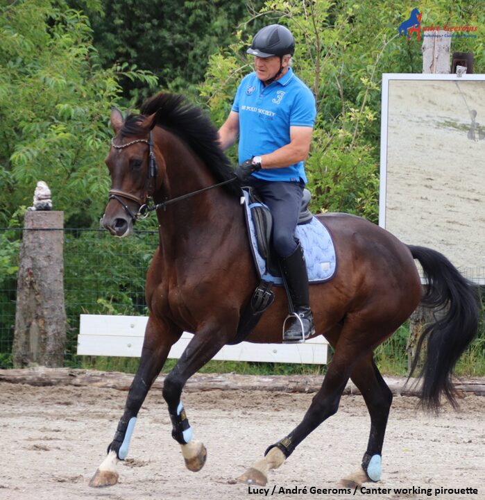 Geen punten voor mijn galop pirouette! Het zoeken van diverse werkpunten.