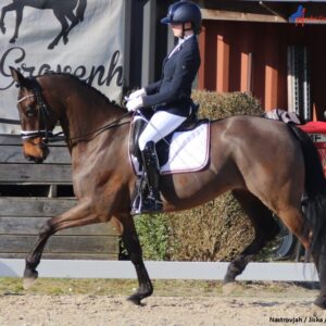 Draaft je paard onregelmatig?