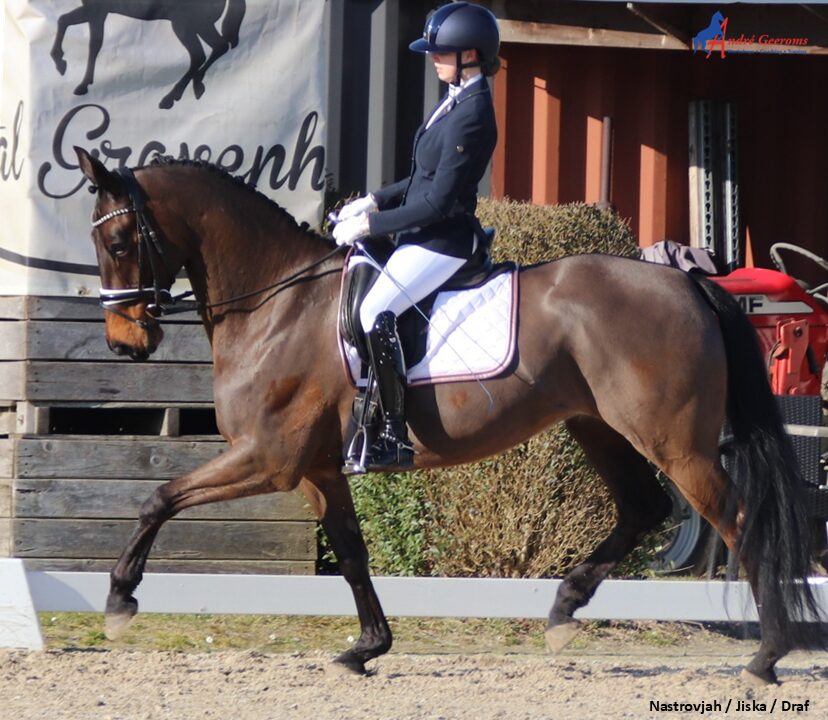 Draaft je paard onregelmatig?