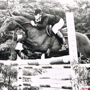 Mijn springpaard valt over de schouder