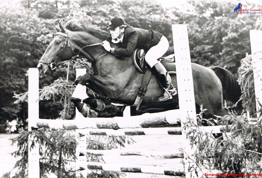 Mijn springpaard valt over de schouder