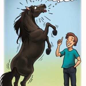 Respect van je paard dien je te verdienen. Dit gebeurt door consequent en respectvol om te gaan met het paard