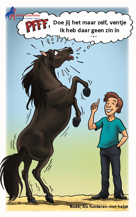 Respect van je paard dien je te verdienen. Dit gebeurt door consequent en respectvol om te gaan met het paard